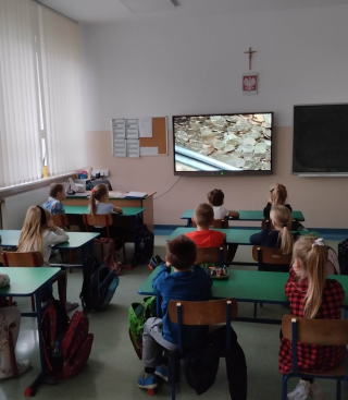 uczniowie siedzący w ławkach i oglądający film na monitorze interaktywnym