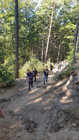uczniowie idący szlakiem górskim, w tle drzewa i krajobraz górski