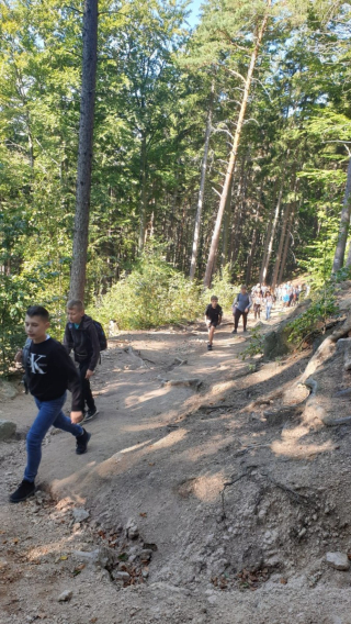 uczniowie idący szlakiem górskim, w tle drzewa i krajobraz górski